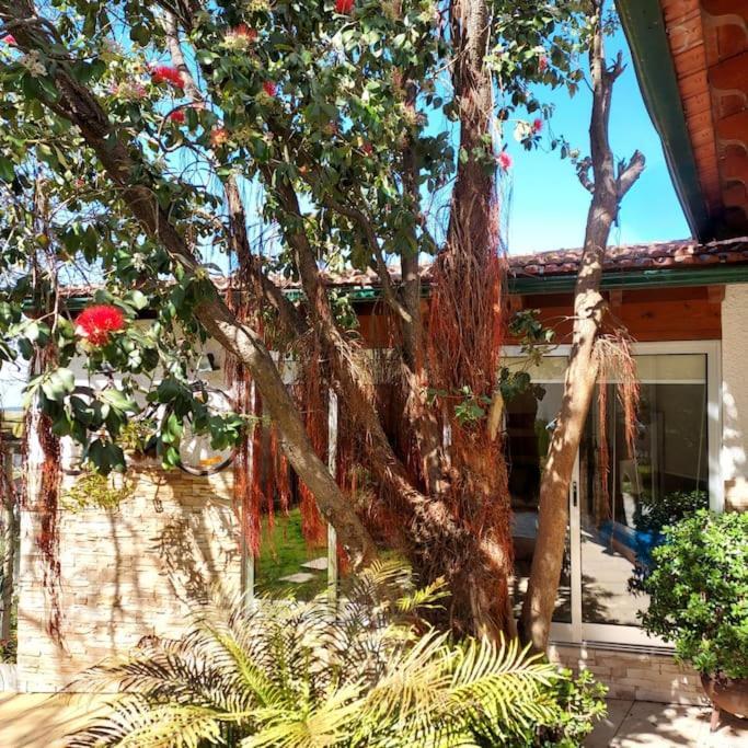 Casat5, Ferias, Piscina Privativa. Agueda, Aveiro Villa Luaran gambar