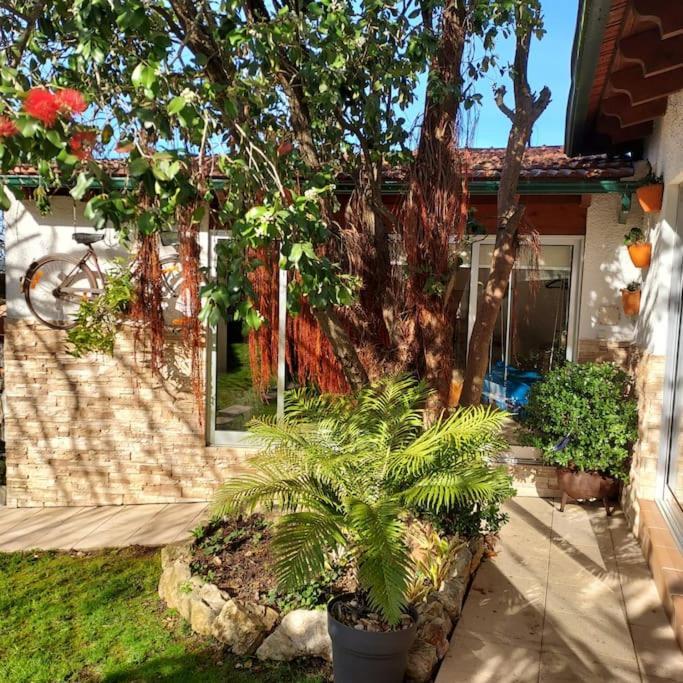 Casat5, Ferias, Piscina Privativa. Agueda, Aveiro Villa Luaran gambar