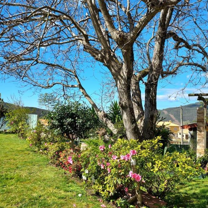 Casat5, Ferias, Piscina Privativa. Agueda, Aveiro Villa Luaran gambar